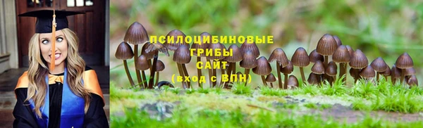 apvp Алзамай