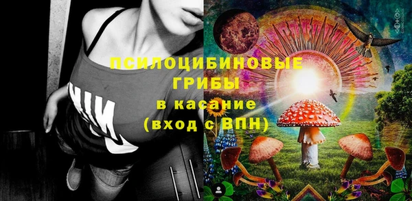 apvp Алзамай