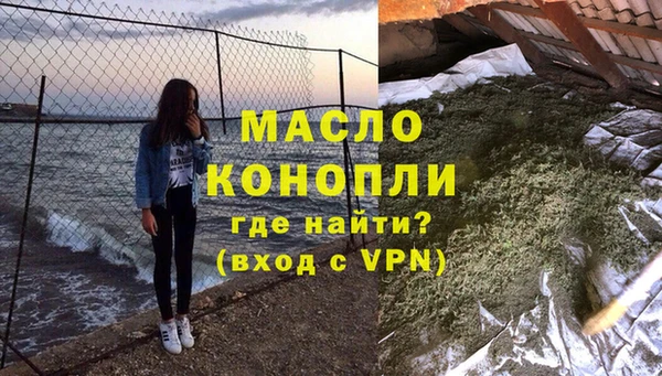 мет Алексин