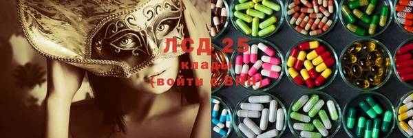 apvp Алзамай