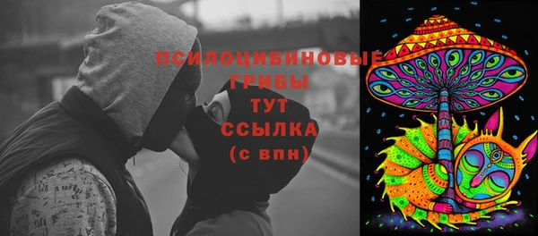 apvp Алзамай