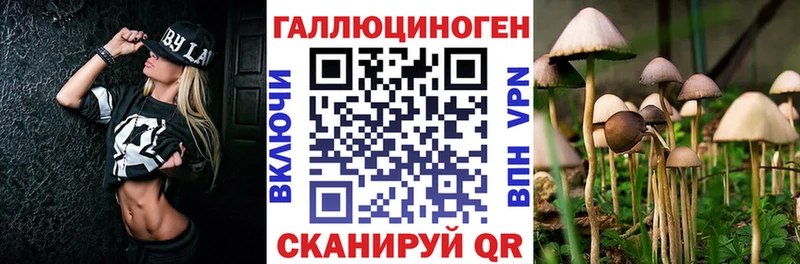 Галлюциногенные грибы прущие грибы  Мензелинск 